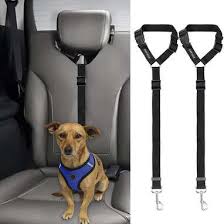 Dog Car Safety Harnesses And Seat Belts