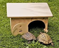 Aus diesem grund ist das schildkrötengehege für die dauerhafte unterbringung von schildkröten bestens geeignet und kann auch zur überwinterung genutzt werden. News Blitzen Haus Fur Schildkroten Ohne Das Holz Basis Amazon De Haustier