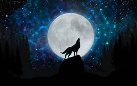 The great collection of wolf howling at the moon wallpaper for desktop, laptop and mobiles. Postcard ãŠã—ã‚ƒã‚Œã¾ã¨ã‚ã®äººæ°—ã‚¢ã‚¤ãƒ‡ã‚¢ Pinterest Hydrox
