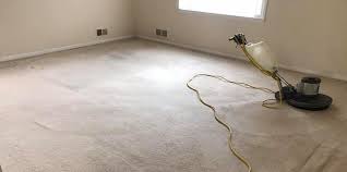 carpet cleaning nyc best local carpet