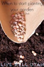 When To Start Planting Northern Utah