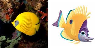 1 appearances 1.1 finding nemo 2 gallery 3 trivia after a conversation between marlin and dory, the moonfish unexpectedly appear. Real Fish Versus Finding Nemo Fish Movies Finding Nemo Fish Finding Nemo Disney Finding Nemo