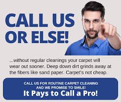 quality care carpet cleaners