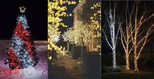 light ideas for outdoor trees