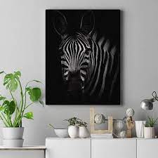 Zebra Wall Art Hd Portrait Beautiful