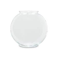 Heart shaped hourglass on white background. Imagitarium Oblate Glass Fish Bowl 1 Gallon Petco