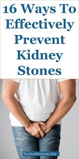 16 Ways To Effectively Prevent Kidney Stones Herb Plant