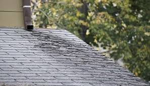 Nov 17, 2020 · a standard home insurance policy covers water damage and leaks for certain types of accidents—for example, if a fallen tree branch causes a roof leak. Homeowners Mold Insurance Coverage Are You Covered