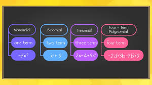 Class 7 Algebraic Expressions Basics