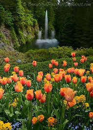 butchart gardens victoria bc beautiful