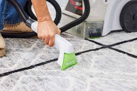 the 9 best carpet cleaners of 2024
