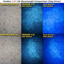 Uv Pet Urine Detector Makes Invisible Urine Glow Peedar 2 0 Pro Trainer Book Aaas 21led 380385nm Black Light Flashlight Find Sta Dog Urine Pet Urine Dog Pee