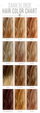 blonde hair color chart to find the