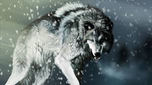 wolf desktop backgrounds 69 images