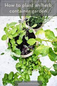 How To Plant An Herb Container Garden