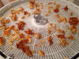 Best Dehydrators For Backng Meals