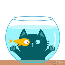 Cat Looking Through Aquarium Glass