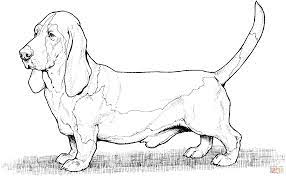 Tiny the cute basset hound coloring page print. Bassett Hound Dog Dog Coloring Page Animal Coloring Pages Dog Images