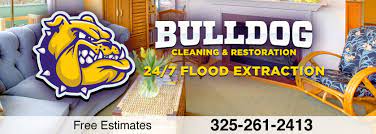 carpet cleaning abilene tx bulldog