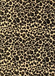 leopard print backgrounds