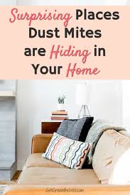 Where Do Dust Mites Hide 8 Surprising