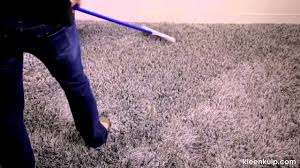 perky carpet grooming rake you