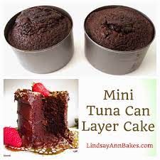 See the best cake recipes. Mini 4 Inch Double Chocolate Layer Cake For Two The Lindsay Ann