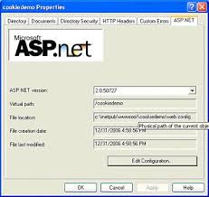 asp net configuration system