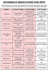 Benadryl Dosage Chart For Cats Google Search Meds For