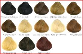 28 Albums Of Ion Hair Color Chart Brown Explore Thousands