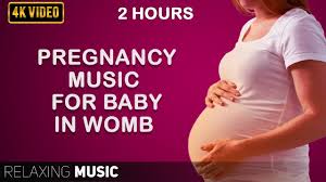 pregnancy for baby in womb