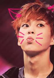 Image result for exo xiumin cute