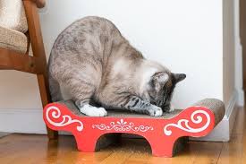 the best cat scratchers for 2023