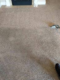 carpet and upholstery cleaning boise