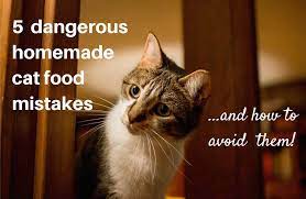 5 dangerous homemade cat food mistakes