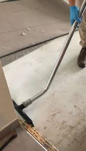 carpet cleaning dalmation restoration llc
