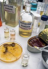 Botulism is a rare but serious illness caused by toxins released by bacteria called clostridium botulinum. Samples Contaminated By Clostridium Botulinum Toxin That Causes Botulism In Humans Botulinum Toxin Clostridium Botulinum Toxin