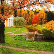 С 1 днем осени! С 1 днем осени! Красота