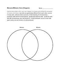 Venn Diagram Mitosis Technical Diagrams