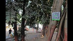 now scan qr code to know about trees