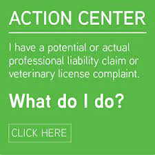 Business, personal, and professional liability insurance for veterinarians | avma plit. Business Personal And Professional Liability Insurance For Veterinarians Avma Plit