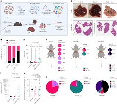 loss of pip4k2c confers liver