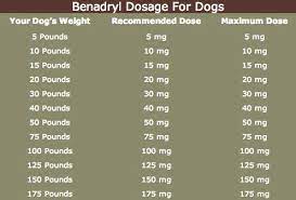benadryl dosing