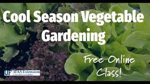 cool season vegetable gardening in