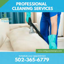 professional upholstery cleaning louisville