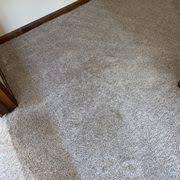indianapolis indiana carpet cleaning