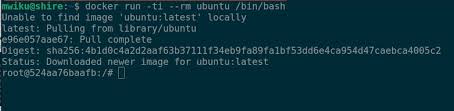 how to run ubuntu as a docker container