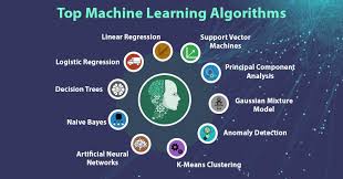 11 top machine learning algorithms used