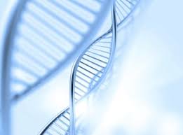 how to determine genotypes sciencing