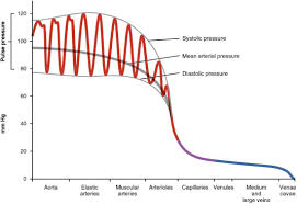 arterial pressure an overview